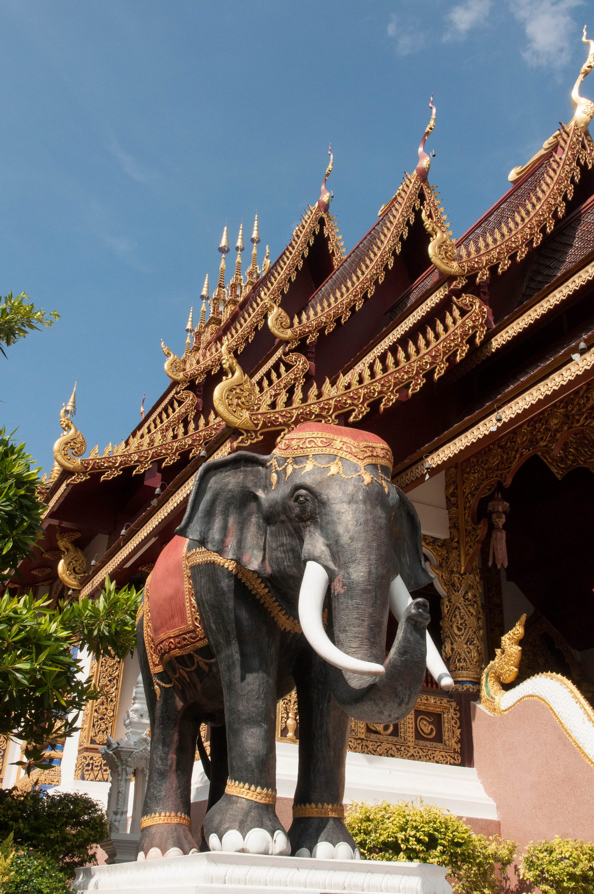 Temple run in Chiang Mai