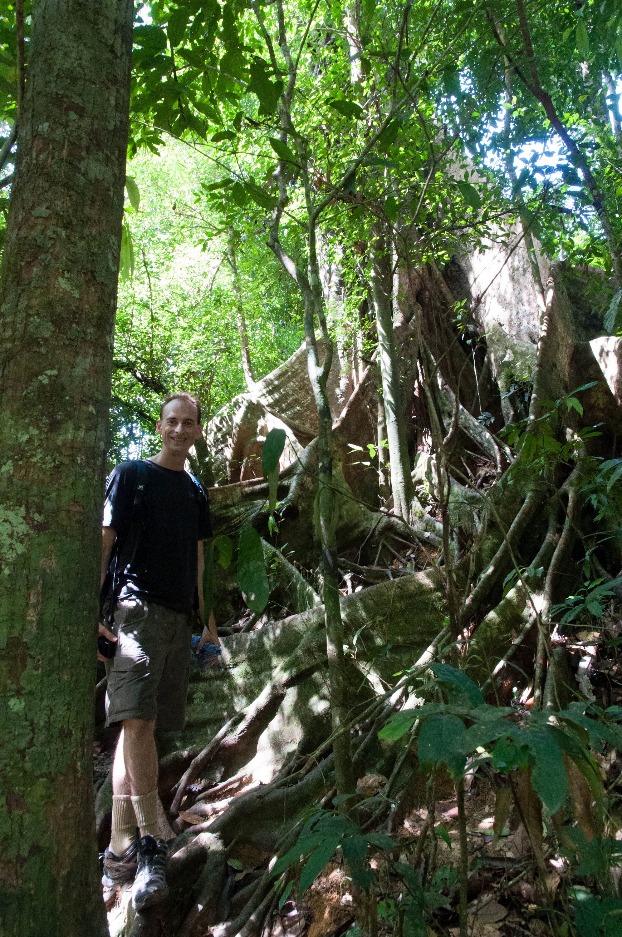 Khao Sok, jungle trekking