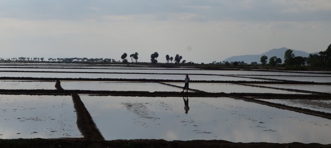 Virée campagnarde à Kep  – A tour of Kep countryside