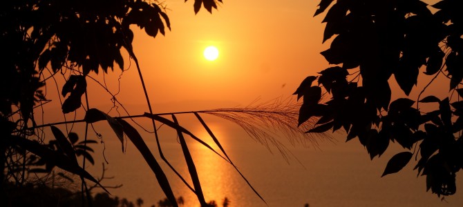 Dernier jour au Cambodge / Last day in Cambodia