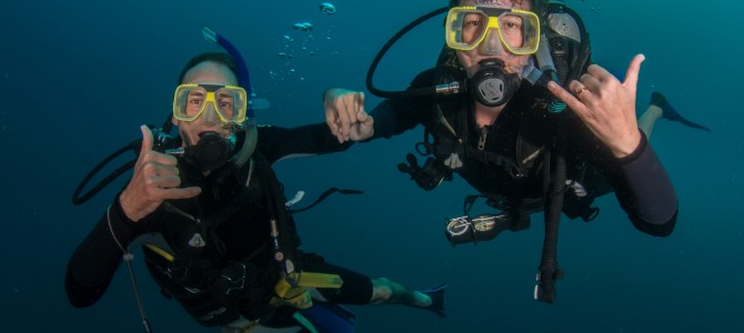 Bonjour de la Grande Barrière de Corail – Hello from the Great Barrier Reef