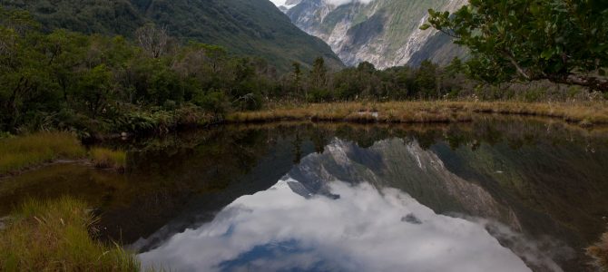 Un glacier, des kiwis et de la bière – Glacier, kiwis and beer