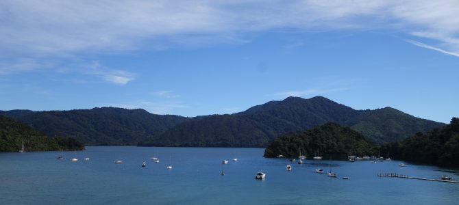 Au-revoir l’île du sud, bonjour Wellington ! – Bye bye South Island, Hello Wellington!